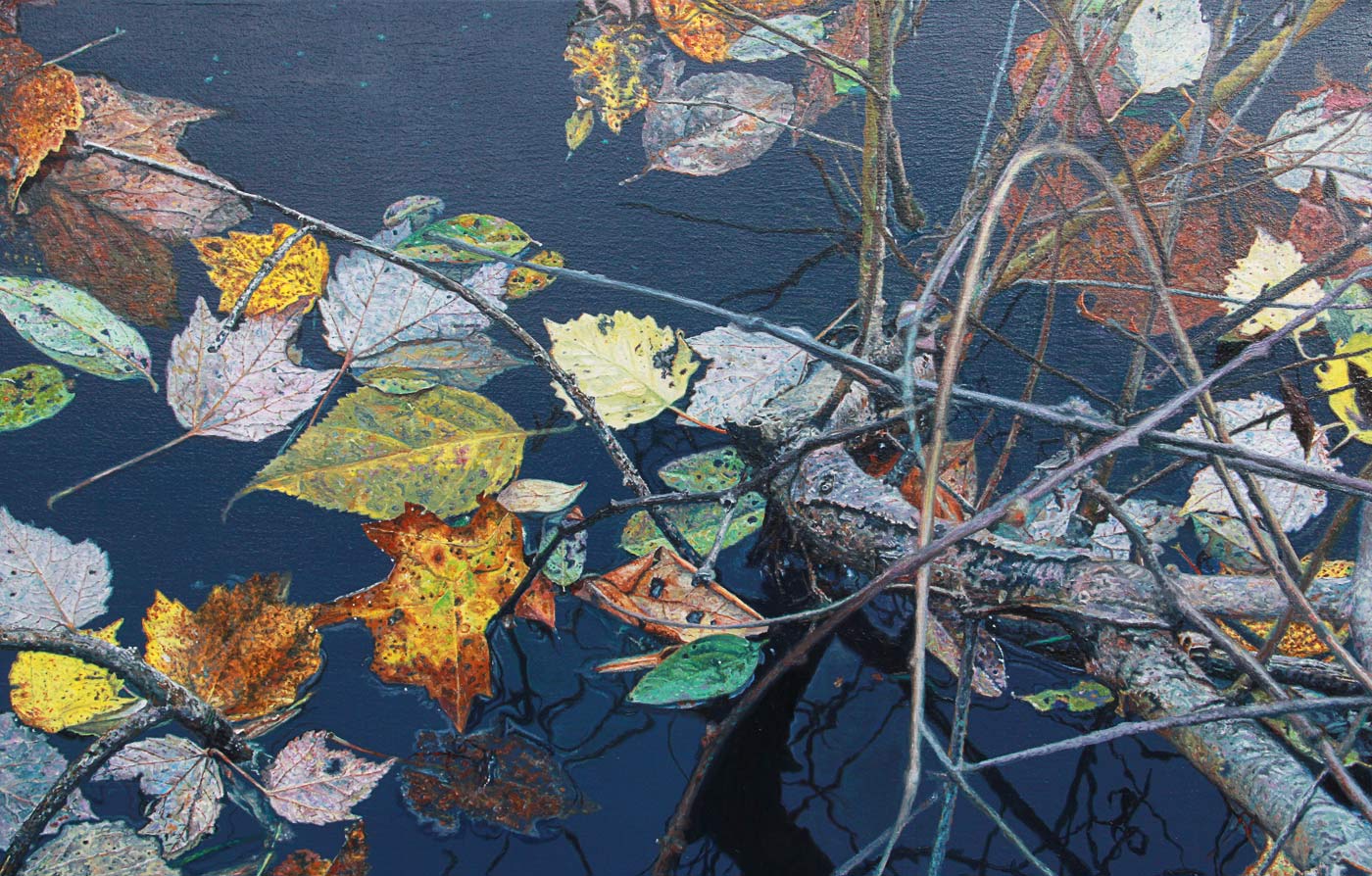Autumn Pond