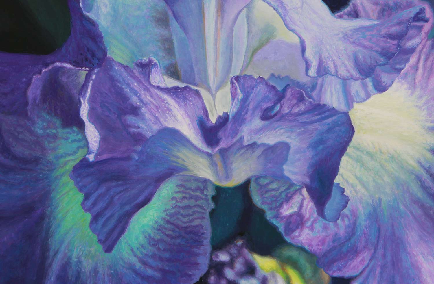 Blue Iris