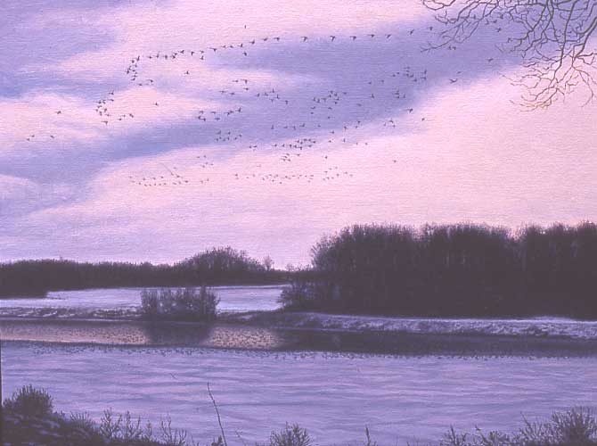 Winter on the Lake
