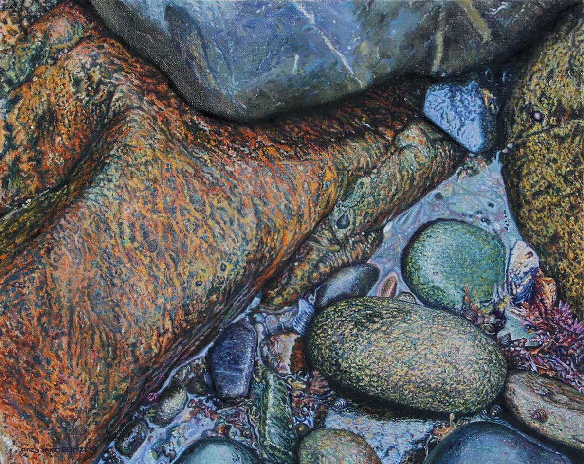 tide pools