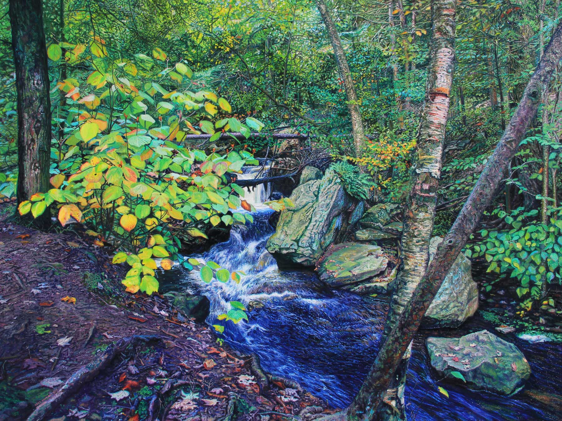 woodland