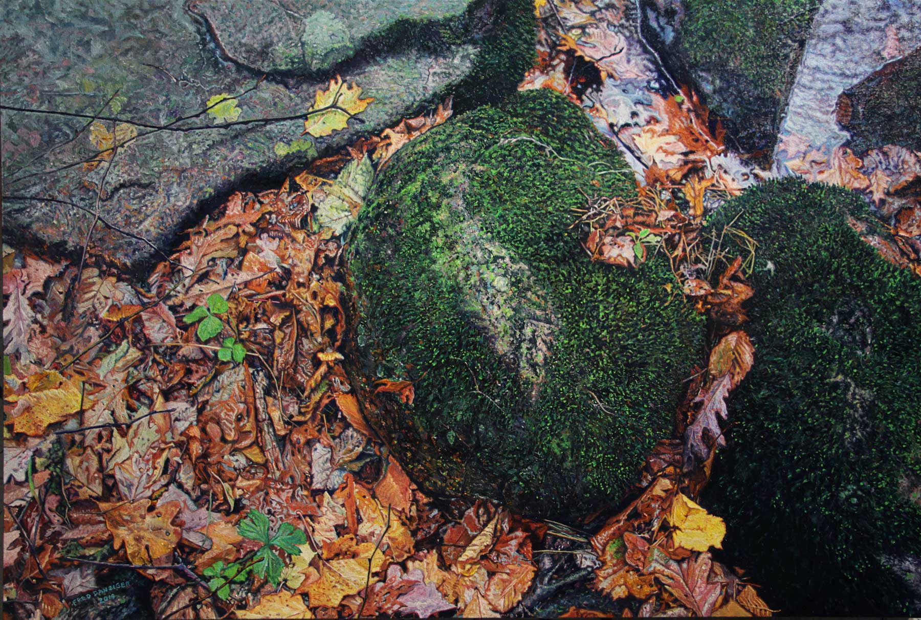 mossy rocks